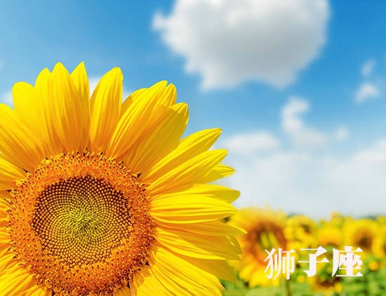 流行QQ网名精选，，旺怡宝贝，吉祥财子，语梦、花姬等寓意好运发财的二字名字，仙灵儿、萌啵啵等可爱风格的名字，一梦入浮沉、古风型头衔名称，逆风飞翔、笑傲江湖等独特个性网名，雾岛听风、星沉海雾等意境悠远的网名，只爱你先森 & 温柔少女心，幸福伴侣qq网名，场控男帝、我为王者等霸气十足的网名，能满足你的需求。插图