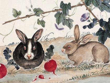两全其美指兔生肖。插图 两全其美指兔生肖。插图