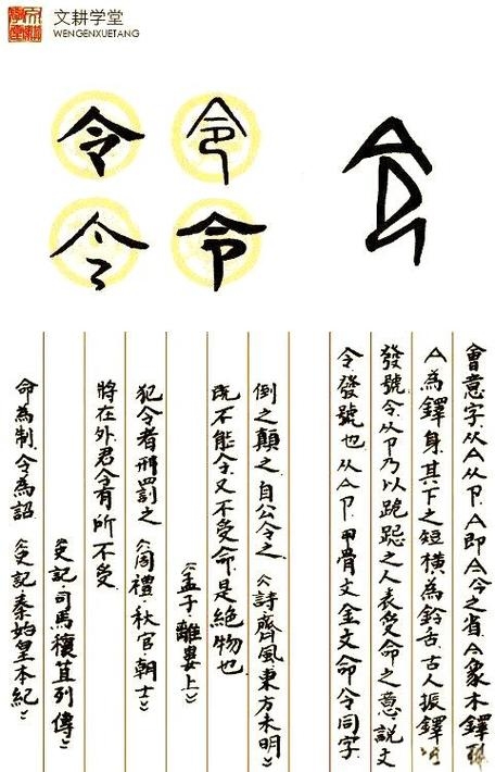 令氏家族渊源与演变插图