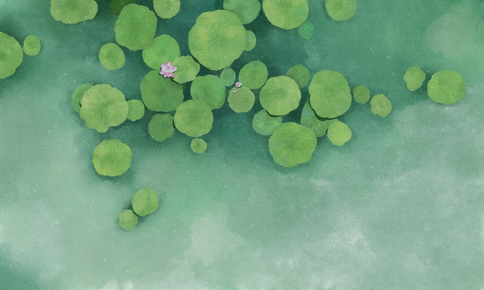 立夏节气时间，2024年5月5日8点9分51秒插图