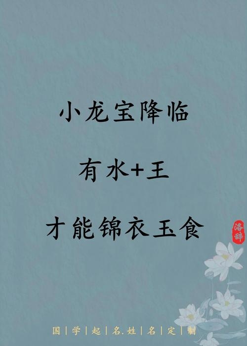 龙宝取名艺术，水部首字为佳插图