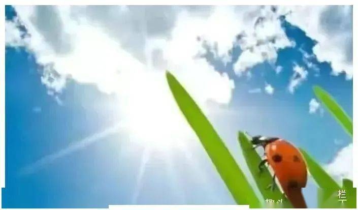 立秋时间揭晓,早知天气变化!,或者更简洁的题目如下,,立秋时刻详解插图 立秋时间揭晓,早知天气变化!,或者更简洁的题目如下,,立秋时刻详解插图