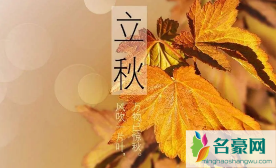 立秋时刻,2022年立秋准确时间揭晓插图 立秋时刻,2022年立秋准确时间揭晓插图