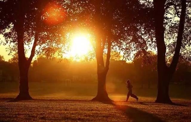 立秋时刻,探寻今年立秋时间的奥秘插图 立秋时刻,探寻今年立秋时间的奥秘插图