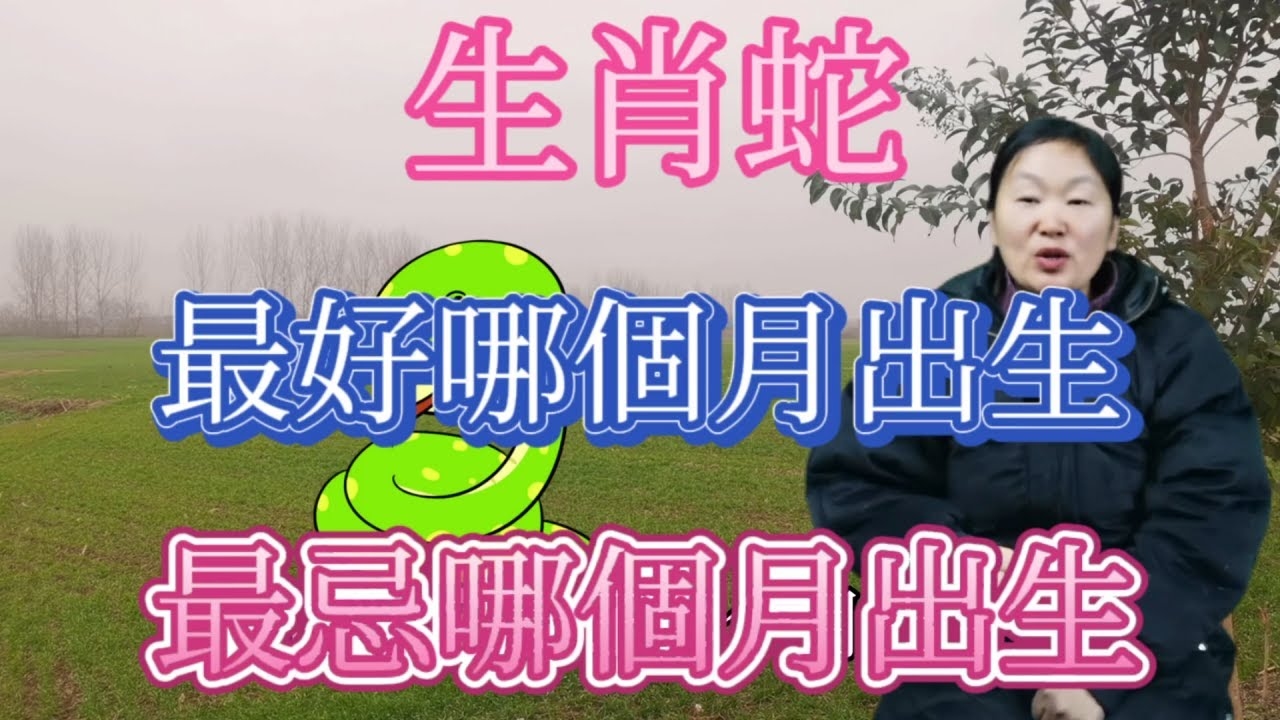 六月飞霜生肖蛇插图