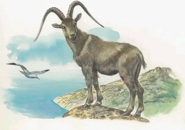 六与七字谜解生肖，羊或蛇兔牛鸡猪狗揭晓谜底。插图