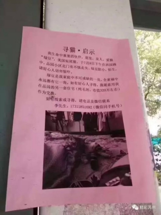 连云港征婚启事，彦涵美术馆旁寻找有缘人插图