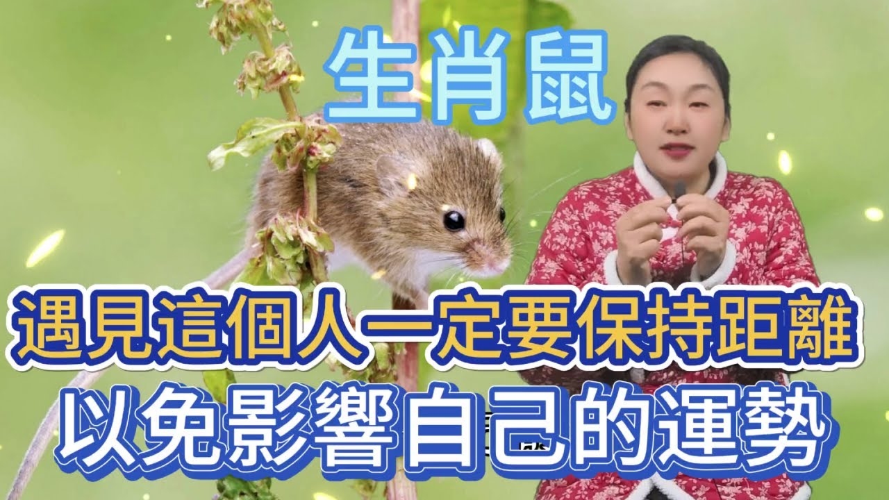 目光如豆对应生肖鼠。插图