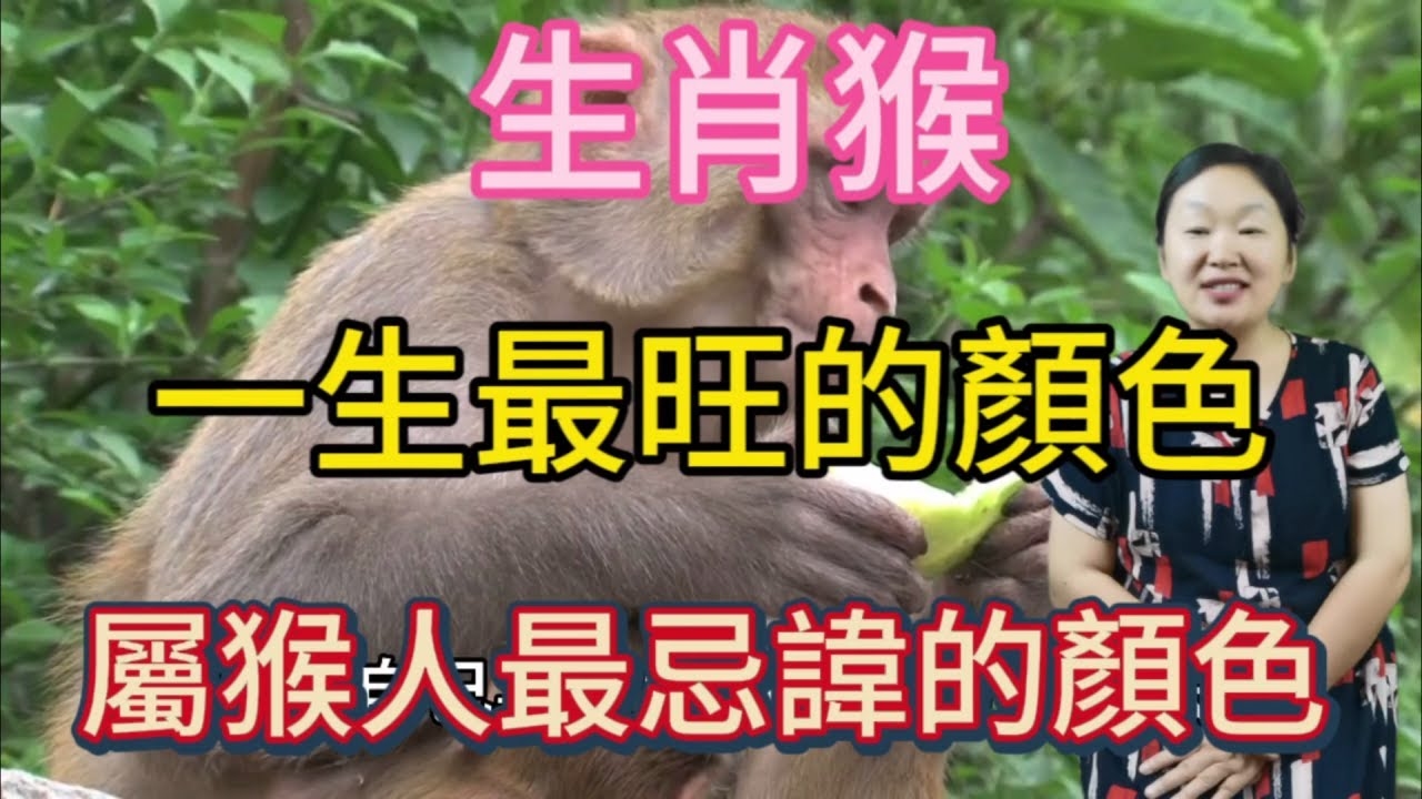 面黄肌瘦猜一生肖，猴。插图