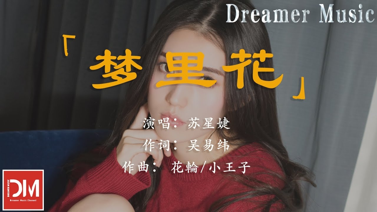 梦花知多少青春插图