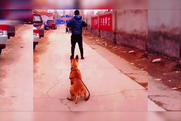 梦见别人翻车但人没事解析插图