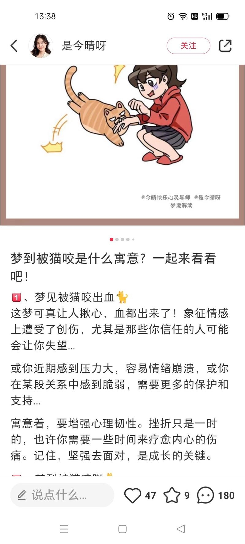 梦见被猫追的寓意解析与象征意义插图