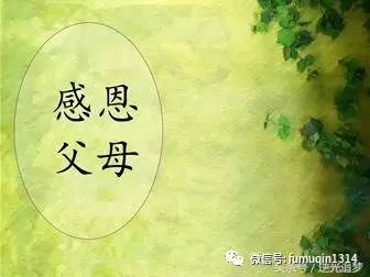 梦见故母，寓意解析与人生启示插图