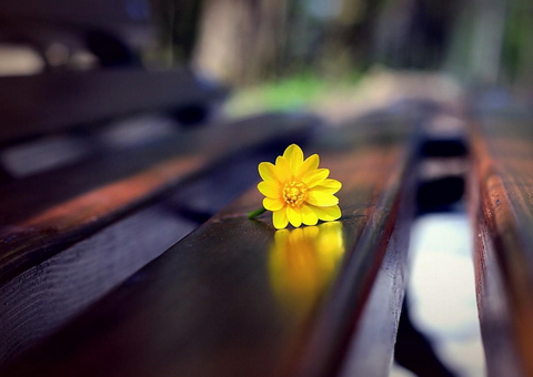 梦见好友去世，寓意情感牵挂与转变开启。插图