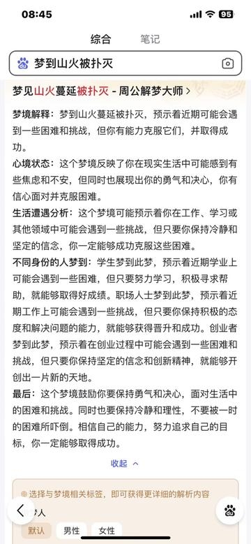 梦境解析，大火烧山的寓意与预示插图