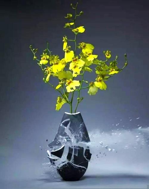 梦境解析，花瓶破碎的象征意义插图