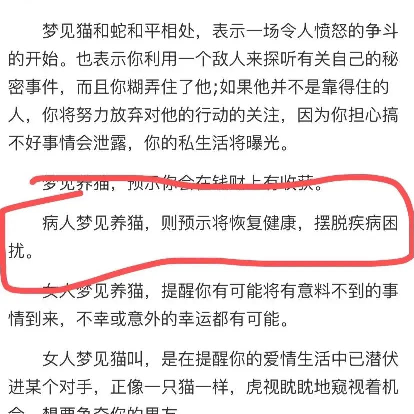 梦见老朋友的意义与解读，老朋友梦境预示详解，重逢梦中旧友的象征意义是什么？插图