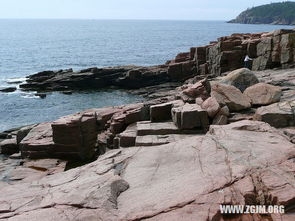 梦见拉屎预示财运与压力，解析不同梦境含义插图