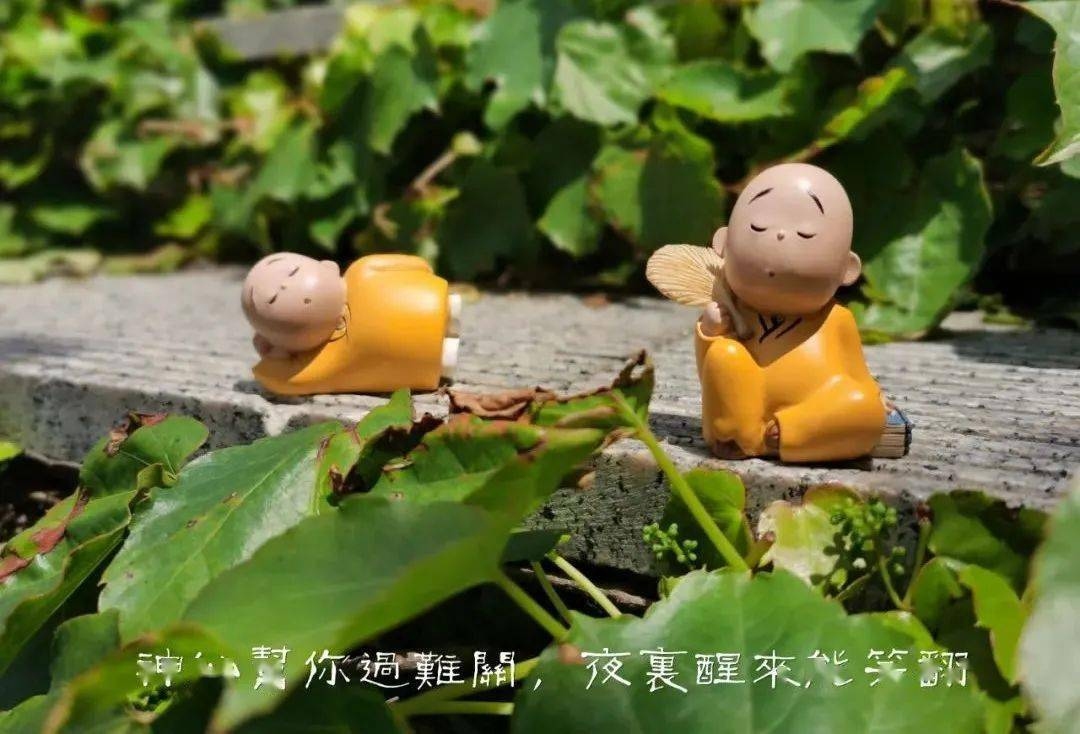 梦见失而复得，吉兆预示好运未来。插图