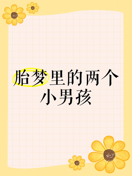 梦见双胞胎男孩，新生与希望的象征，预示吉祥和好运插图