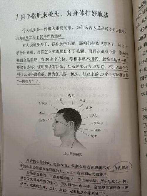 梦见他人梳头,预示好运与人际和谐。插图 梦见他人梳头,预示好运与人际和谐。插图