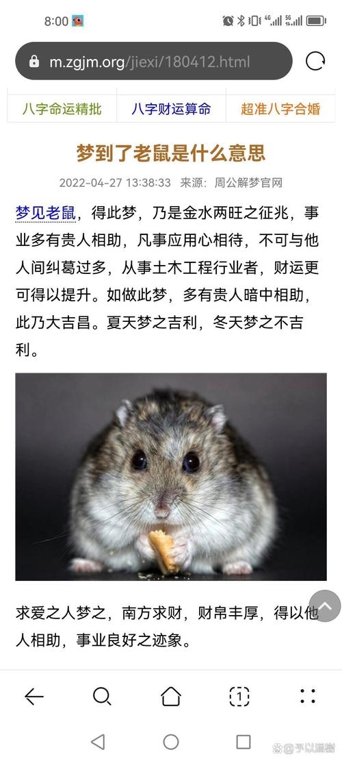 梦见小白鼠的多重象征意义与解读插图 梦见小白鼠的多重象征意义与解读插图