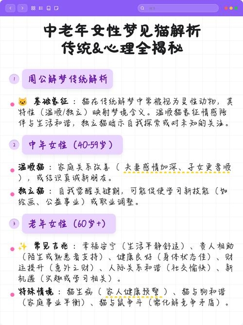 梦见猫解析插图 梦见猫解析插图