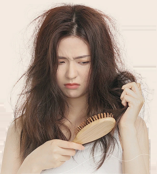 梦见梳头掉头发，预示吉兆，生活顺心。插图