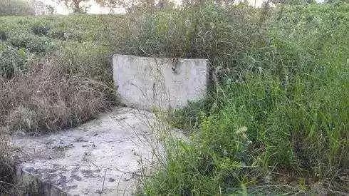 梦见坟墓，寓意成功与发展的机会。插图