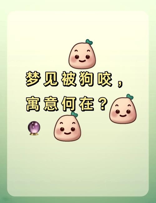 梦见狗咬人，寓意与挑战共存插图