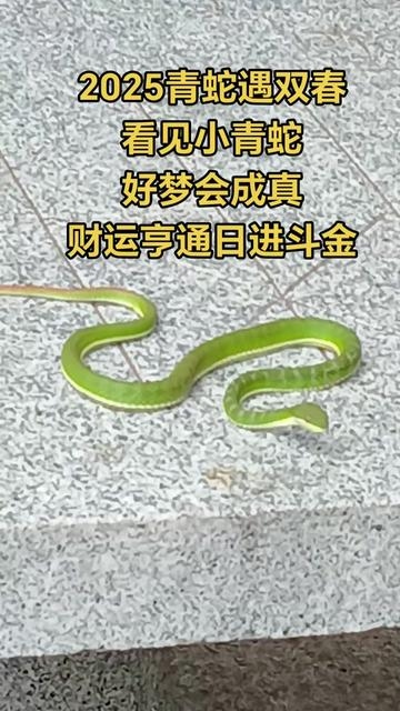 梦见蛇缠身寓意解析，成功运、挑战与成长象征插图