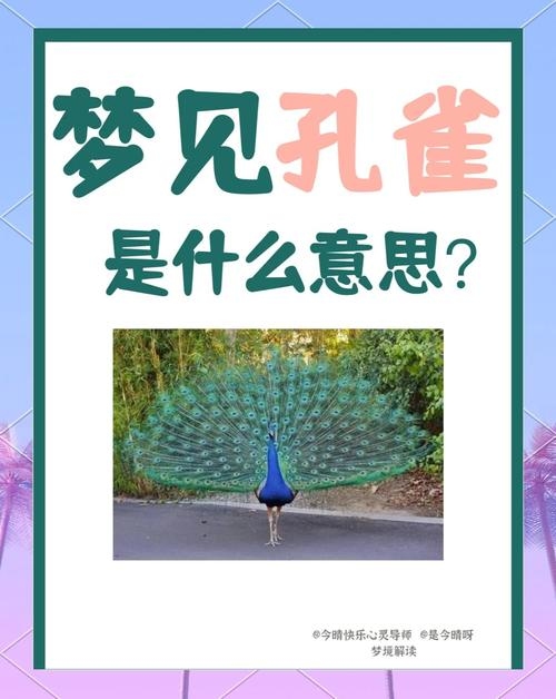 梦见孔雀开屏的预兆插图