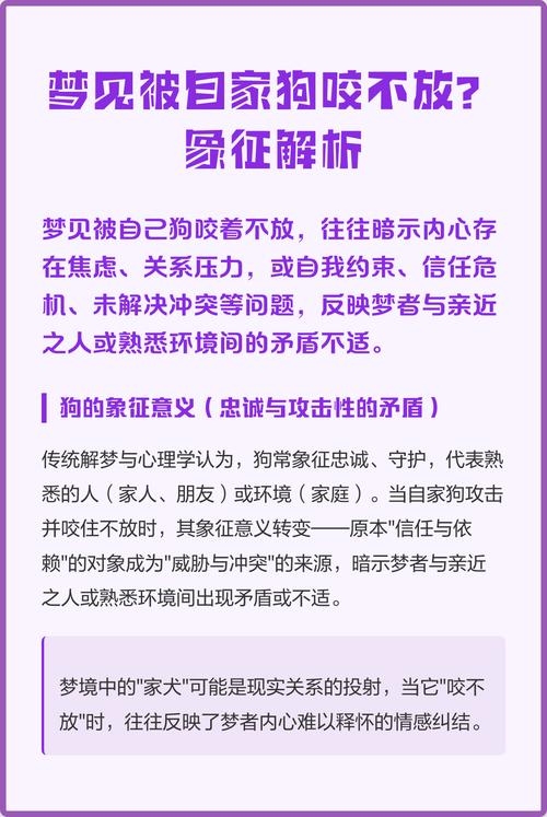 梦见狗咬住不放的寓意与解析，现实压力、人际困扰与健康警示，梦境反映出现实生活中的困难与挑战，暗示人际关系和健康方面需注意。插图