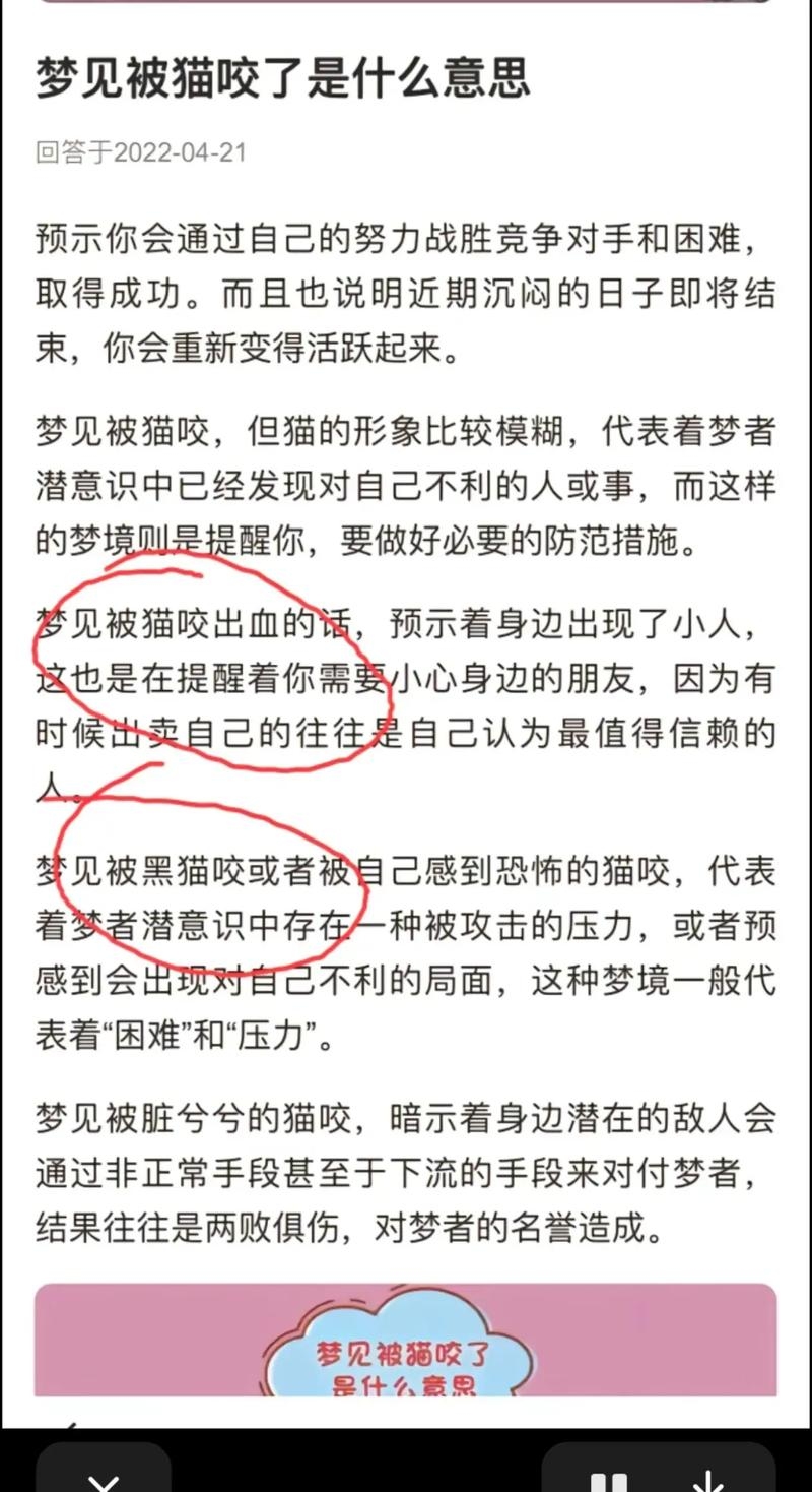 梦见猫咬我，多梦解析与预兆插图