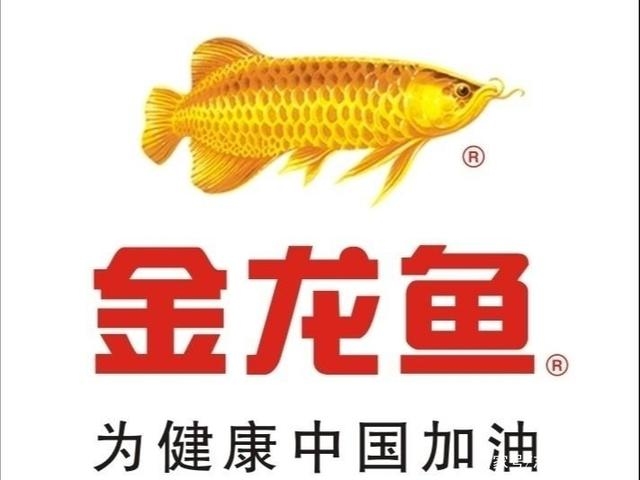 梦见鱼,财富与好运的象征插图 梦见鱼,财富与好运的象征插图