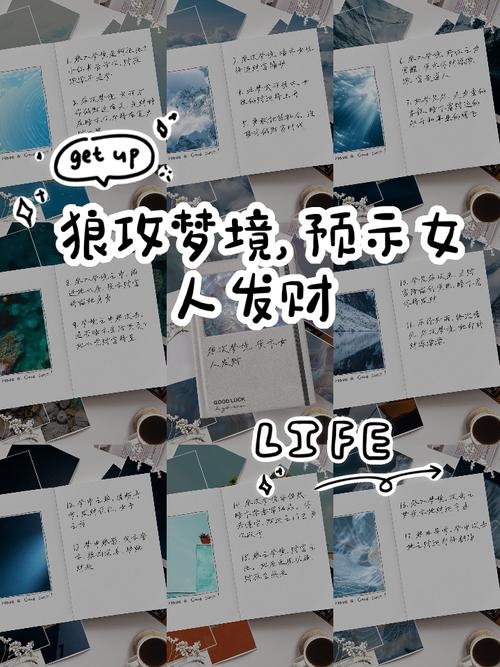 梦境中的挑战与机遇，根据您提供的内容，以下是符合要求的标题，，梦到打狼预示着什么，周公解梦中关于梦见打狼的解释，梦见打狼的具体寓意解析，梦见打狼的含义及预示，关于梦见打狼的一些具体分析，希望以上回答对您有所帮助。插图