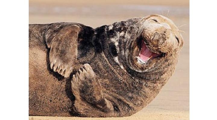 梦见自己哈哈大笑插图