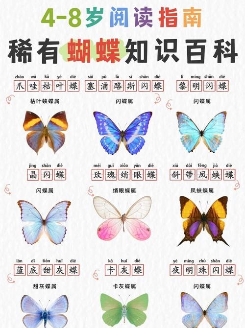 目迷五色，猜一动物——蝴蝶插图