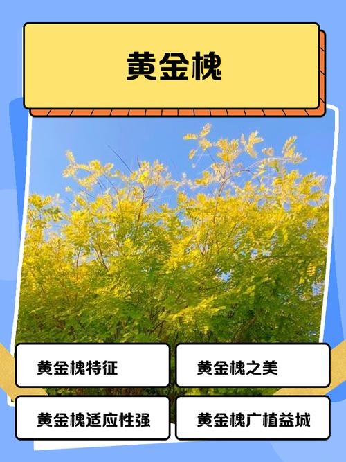 门前槐树寓意吉祥，招财进宝传千古，文化视角解读槐树的财富与好运象征插图