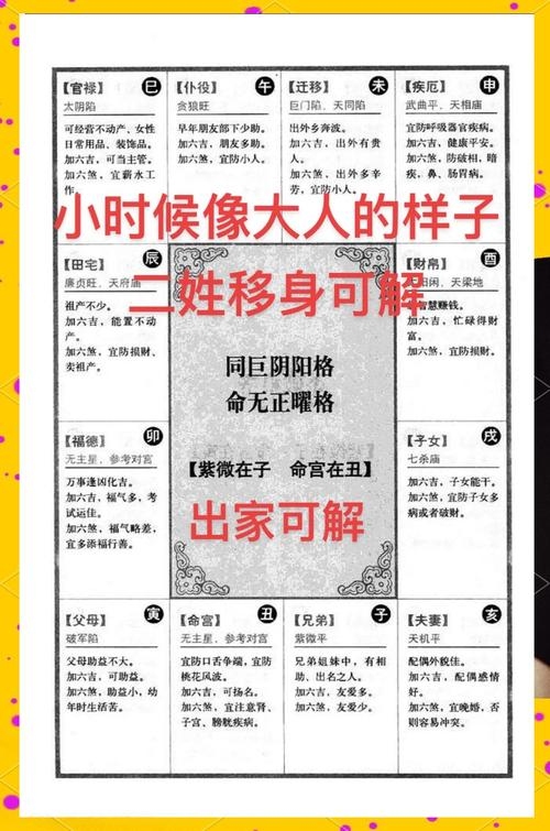 命无正曜格的命运解析插图