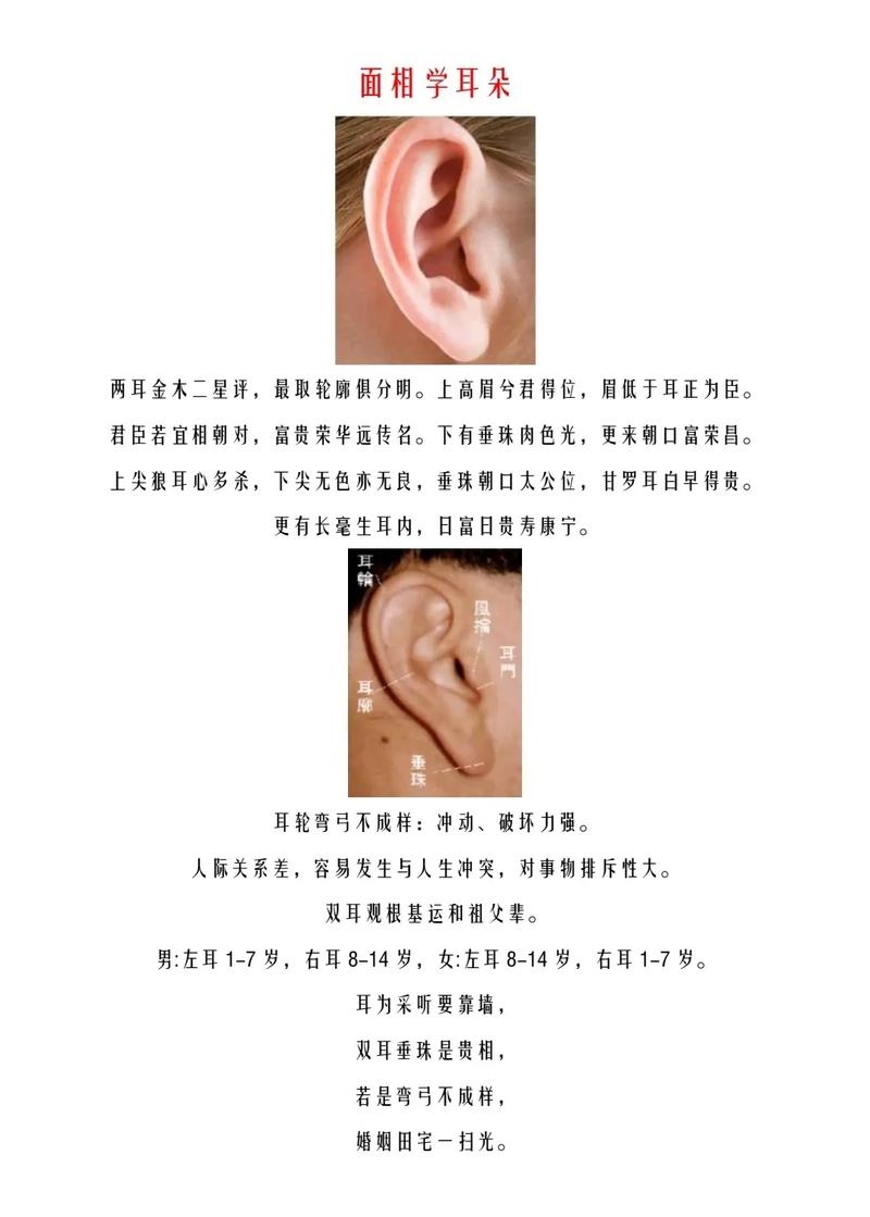 面相分析耳部图解插图