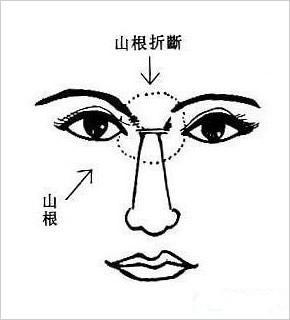 面相解析，洞悉命运与富贵之道，建议，揭秘面纹奥秘，解读人生运势插图