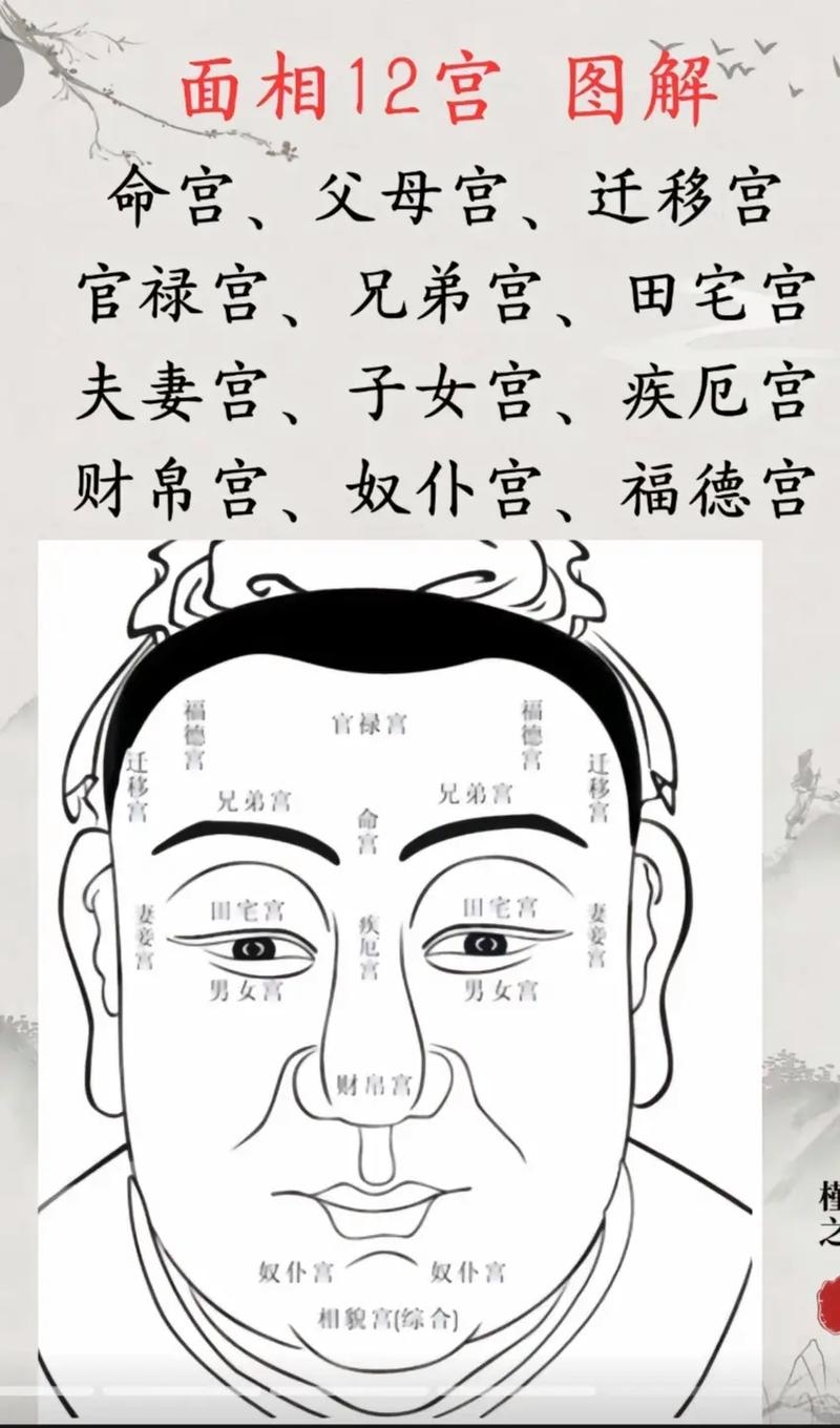面相看命运插图