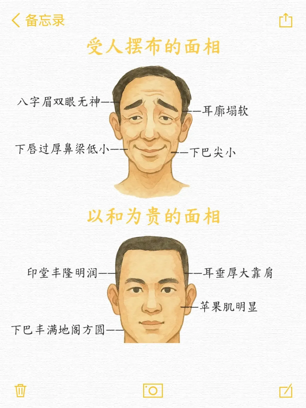 面相学解读下巴，短与丰满的含义差异，建议，解析不同下巴形态的面相意义插图