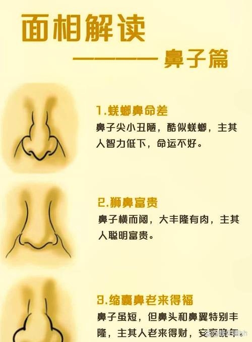 面相鼻子大解析，，鼻头大而口小的人，命运与孩子缘分及配偶关系需观察整体五官布局。若脸部肉薄则可能婚姻坎坷或难以找到理想的伴侣；反之，如果鼻头宽大但无肉、露骨或有挺拔之势，预示刑克配偶和子女，财运易受影响。从健康角度看，这种特征的女性性格明朗开朗且有较强的决断力。此外，这类女性家庭责任心不强，可能在情感上较为孤单并追求浪漫主义精神。建议综合考虑其他因素来评估其命运走势。插图