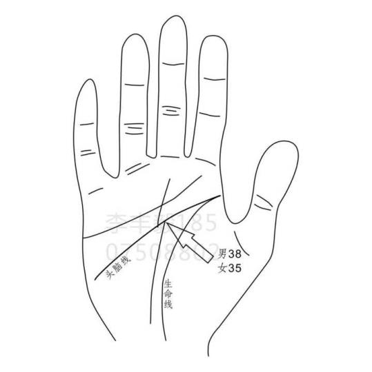 命运线详解插图