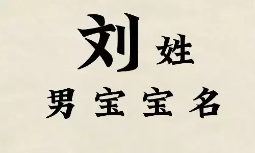 名字大全男孩插图
