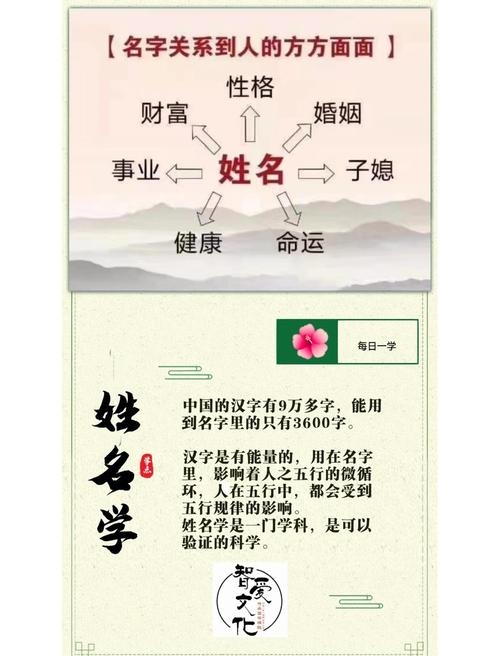 名字价值探秘插图