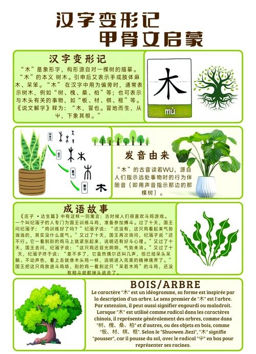 木字旁的汉字及其相关解析探索木的世界——带木偏旁的字汇总与解读插图