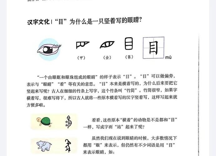 目字旁汉字简介，常见如睡、眼等，涵盖视觉器官及相关动作。插图